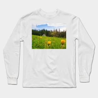 old house in the meadow Long Sleeve T-Shirt